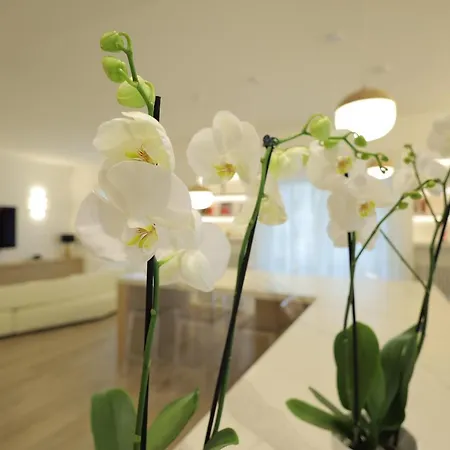 Gonzaga Bed & Breakfast Naples
